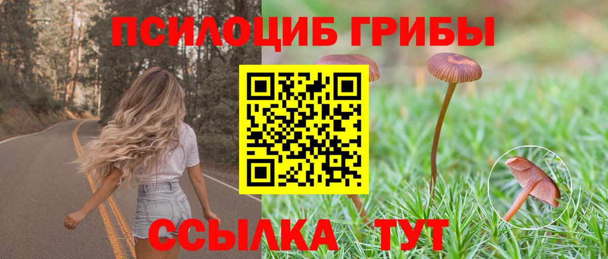Галлюциногенные грибы MAGIC MUSHROOMS  Вход с VPN  Зеленодольск 