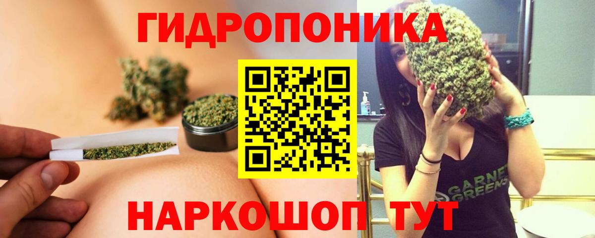 Каннабис конопля  Бошки Шишки White Widow  МАРИХУАНА план  Вход с VPN  Зеленодольск  Шишки марихуана LSD WEED 